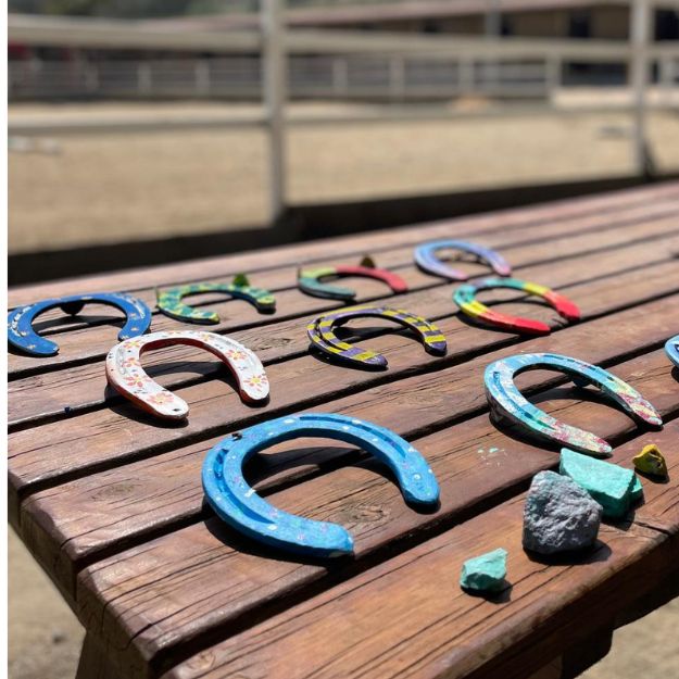 hipica colonies estiu eix estels (17)