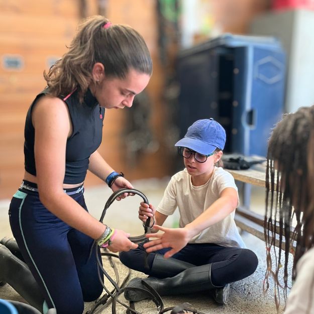 hipica colonies estiu eix estels (19)