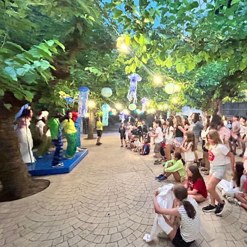 mini colonies estiu (18)