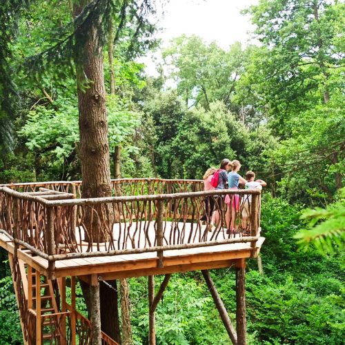 multiactivitats m colonies estiu (15)