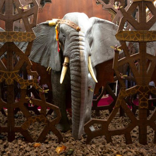 Colonies xocolab lluc crus