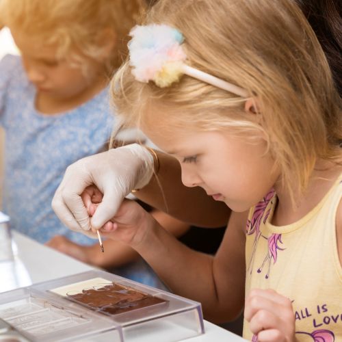 Colonies xocolab lluc crus