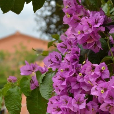 Casa de colònies Can Vandrell