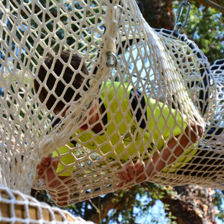 colonies de mar (13)