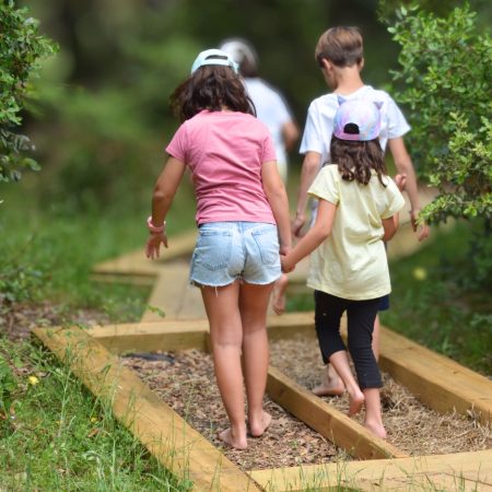 colonies de mar (24)