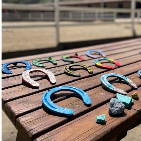 hipica colonies estiu eix estels (17)