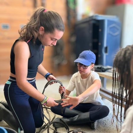 hipica colonies estiu eix estels (19)