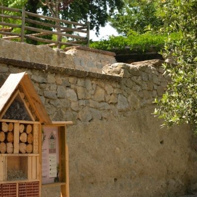 Casa de colònies Mas Banyeres